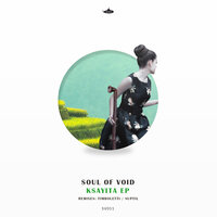 Follow Me - Soul Of Void