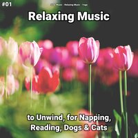 Background Music - Slow Music & Relaxing music & Yoga