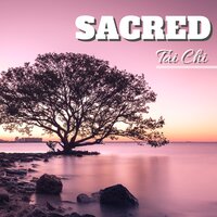 Man in the Moon Lullaby - Tai Chi Music Institute & Tai Chi & Tai Chi & Tai Chi Music Institute