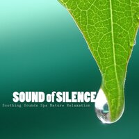 Sound of Silence - Serenity Spa Music Relaxation
