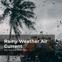 Breeze in Fall of Rain - Rain Sounds & White Noise & Raindrops Sleep & Sleep Rain