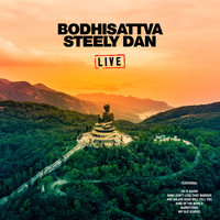 Reelin' In The Years - Steely Dan