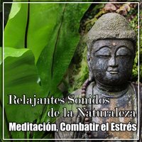 Calmar la Mente - Academia de Música para el Alma