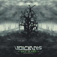 Stranger - Voicians