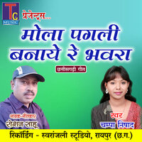 Mola Pagli Banaye Re Bhawra - Champa Nishad & Roshan Sahu