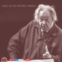 Concerto for String Quartet and Orchestra: II. Gli ordinamenti. Andante tranquillo - Vegh Quartet & Végh Quartet