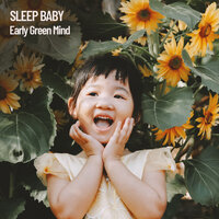 Baby Chakras Tranquillity - Nursery Rhymes & Baby Sleep Music & Musica Para Dormir Bebes