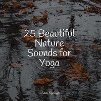 Woodland Birdsongs - Nature Sounds for Relaxation and Sleep & Calm Down & Best Relaxing Spa Music
