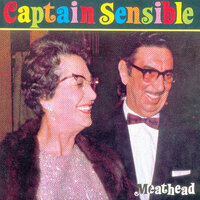 Hammond Solo - Captain Sensible