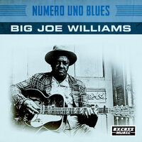 Goin' Away, Won't Be Back Till Fall - Joe Williams