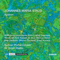 Violent Incidents (Hommage À Bruce Nauman) [2005/06] for Saxophone Solo, Wind Ensemble and Percussion - Kasper de Roo & Marcus Weiss & Windkraft Tirol