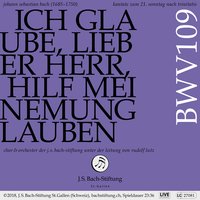 4. Rezitativ (Alt): O fasse dich, du zweifelhafter Mut - Orchester der J.S. Bach-Stiftung, Rudolf Lutz & Ruth Sandhoff & Orchester der J.S. Bach-Stiftung & Rudolf Lutz & Ruth Sandhoff & Johann Sebastian Bach