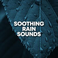 Winter Beach - Ocean Sounds