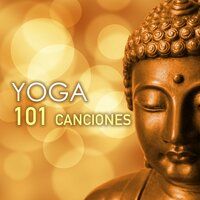 Yin Yoga - Yoga Meditation 101