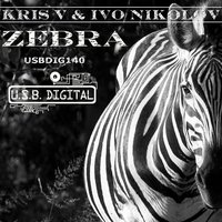 Zebra - Kris V