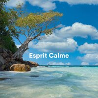 Memory Arc - Relaxation Détente & Musique Zen & Bouddha Musique Sanctuaire