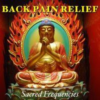 Back Pain Relief T11 & L4 207,65 Hz - Dr. Bijay Saabye