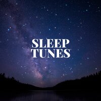 Night Harmony - Relaxing music & Peaceful Sounds & Sleep Symphony
