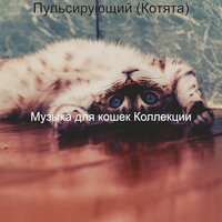 Мечты (Котята) - Музыка для кошек Коллекции