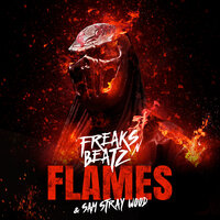 Flames - Freaks'n'Beatz & Sam Stray Wood