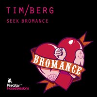 Seek Bromance - Tim Berg & Samuele Sartini