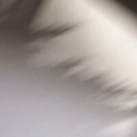 identity - Xona