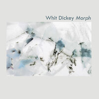 Epiphany - Whit Dickey & Nate Wooley & Matthew Shipp
