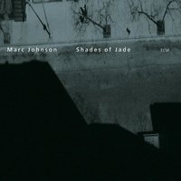 Raise - Marc Johnson