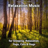 Study Music - Relaxing Spa Music & Yoga Music & Yoga