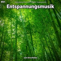 Entspannungsmusik für Autogenes Training - Entspannungsmusik Olivia Lehen & Schlafmusik & Entspannungsmusik