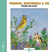 Pinson des arbres chant de mâle - Frémeaux Nature