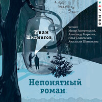 Иван Шипнигов. «Непонятный роман». Часть 33 - Макар Запорожский & Александр Гаврилин & Илья Сланевский & Анастасия Шумилкина