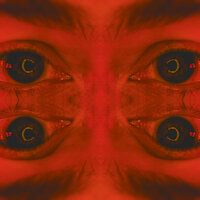 Dark Hypnosis, Pt.2 - jrobthehuman