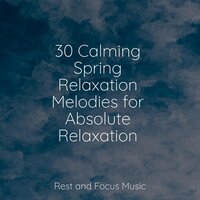 Pleasing Divinities - Avslappning Sound & Relaxing Spa Music & Kings of Nature