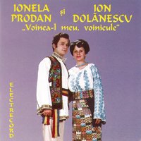 De-Ar Fi Drumul Prin Pădure - Ion Dolanescu