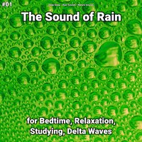 Fall Asleep Fast - Deep Sleep & Rain Sounds & Nature Sounds