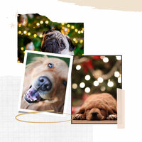 Excellent (Sleepy Doggies) - Relaxing Music for Dogs