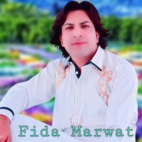 Zma Da Zra Kai Par Meyan Pre - Fida Marwat