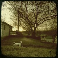 Wooden crosses - waterleftfrog