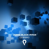 Scottish - James Black Pitch