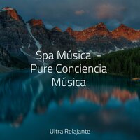 Tiempo De Tranquilidad - Música Zen Relaxante & Dormir Mucho & Cancion de Cuna