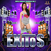 Amor De Primavera - Exitos & tropitango