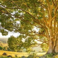 Summer Storm - Bath Spa Relaxing Music Zone & Spa Music Relaxation & Mindfulness Meditation Universe