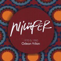 Yaş 35 - Nilüfer