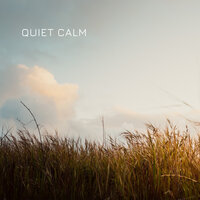 Kind Remarks - Decidic FX