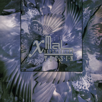 Mondlicht - Xmal Deutschland