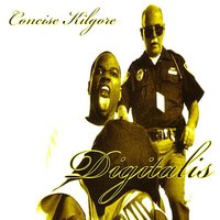 Good' Ol Fashion Hip Hop - Concise Kilgore