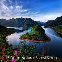 Natures Presence - Outside Broadcast Recordings