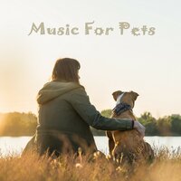 Memories of Catfish - Music For Pets