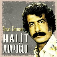 Ok Yaydan Çıktı - Halit Arapoğlu